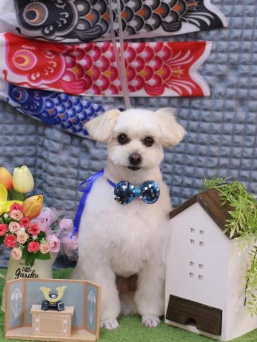 20230520うみちゃん